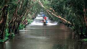 image-39